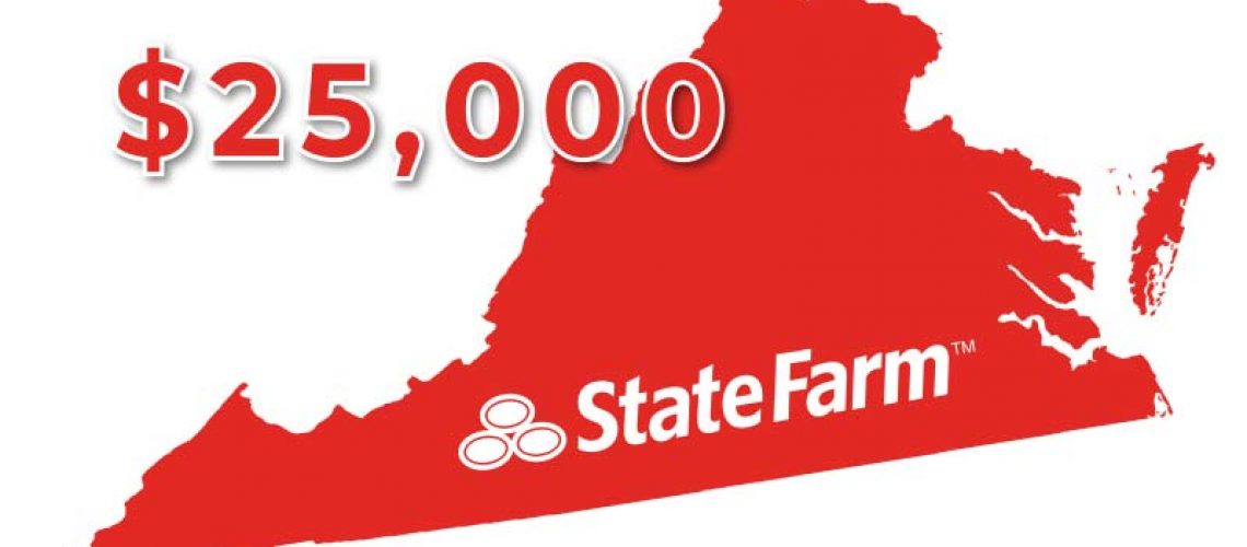 StateFarm-win